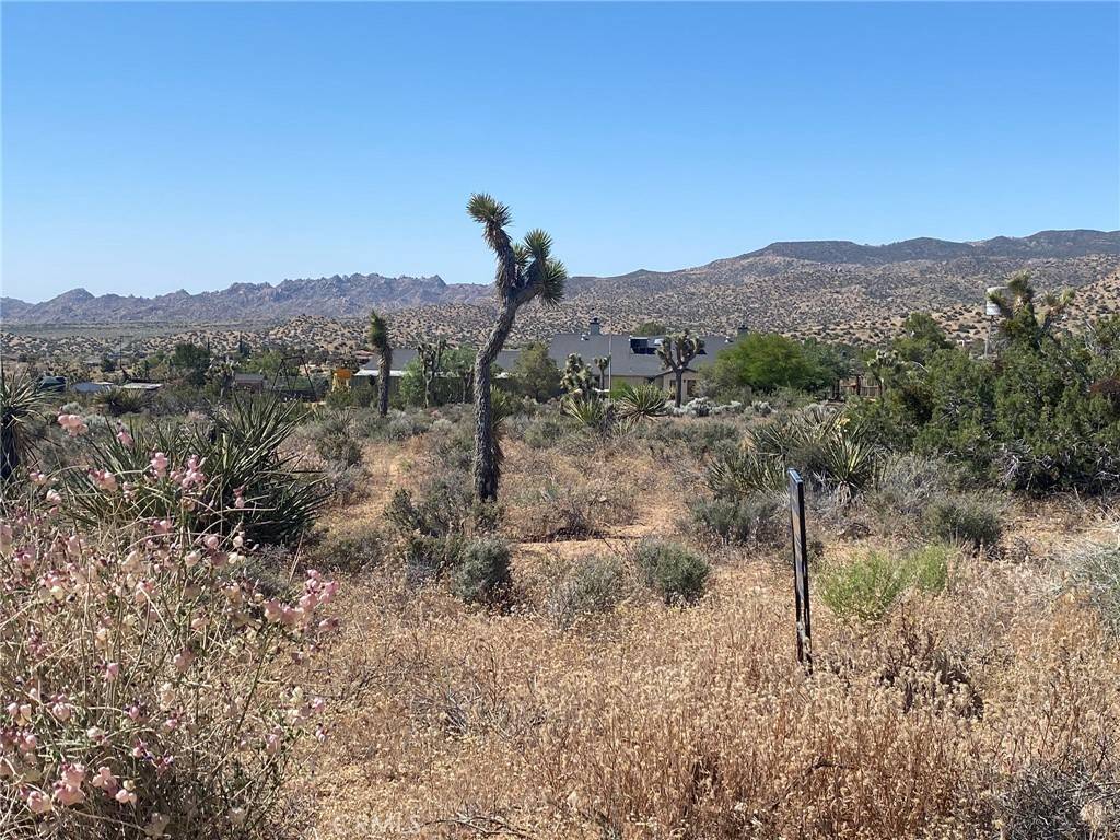 Pioneertown, CA 92268,0 Geronimo Trail