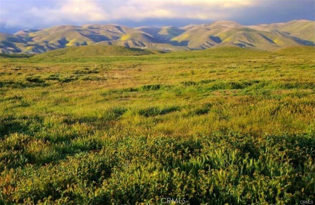 California Valley, CA 93453,0 Buffalo - C