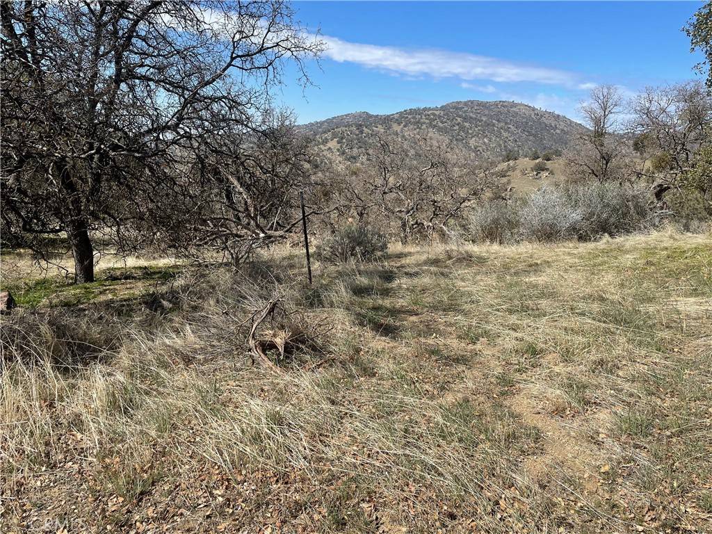 Tehachapi, CA 93561,0 Peregrine