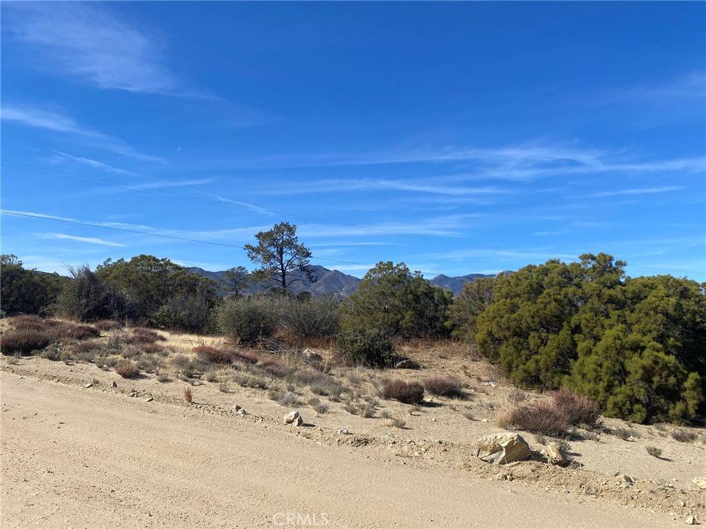 Pinyon Pines, CA 92561,0 Palm Canyon Dr.