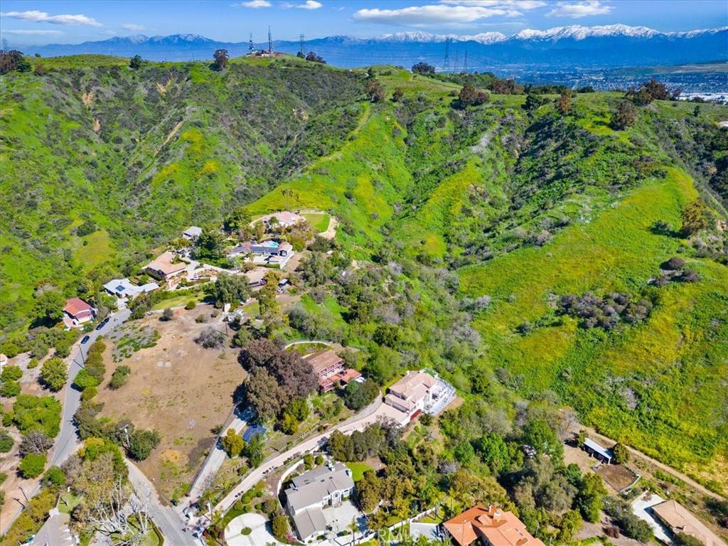 La Habra Heights, CA 90631,0 Papaya