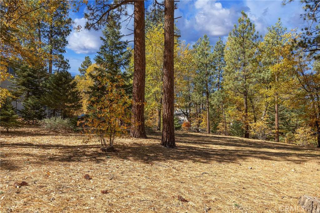 Big Bear Lake, CA 92315,0 Ford LN