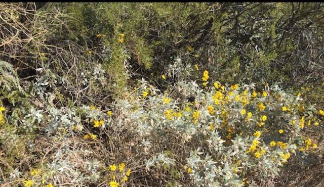 Antelope Acres, CA 93536,0 Vac/Ave G/Vic 125 Stw