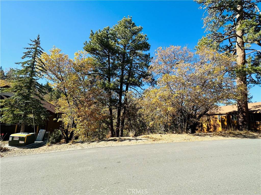 Big Bear, CA 92314,1436 Klamath Road