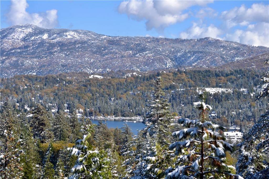 Lake Arrowhead, CA 92352,361 Grizzly RD