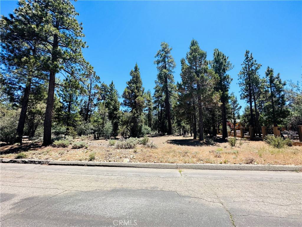 Big Bear City, CA 92314,1316 Shadowhill CT