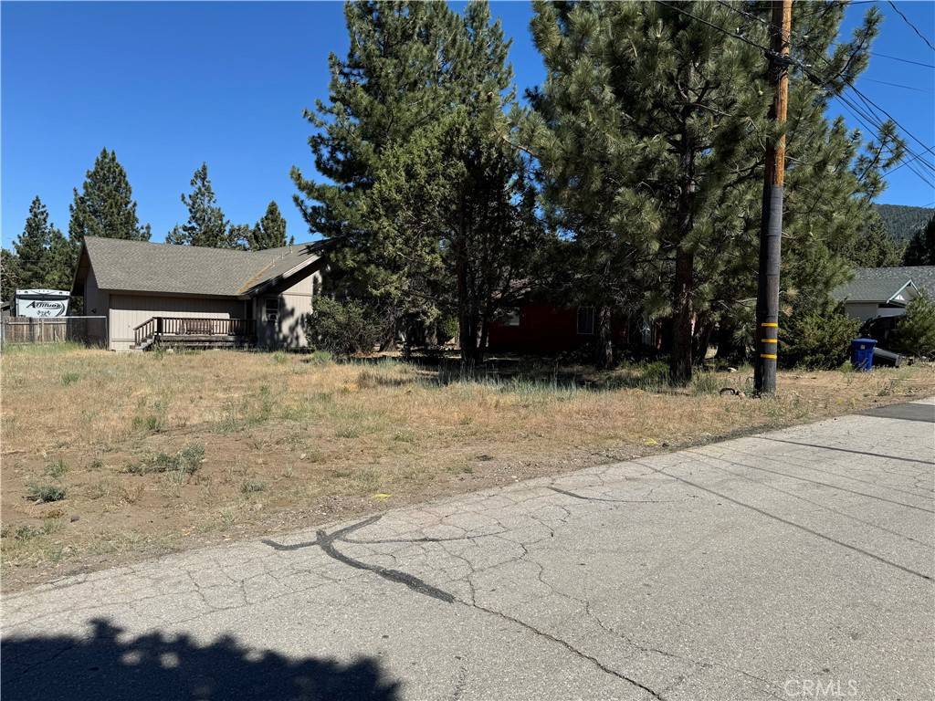 Big Bear City, CA 92314,924 Pinon LN