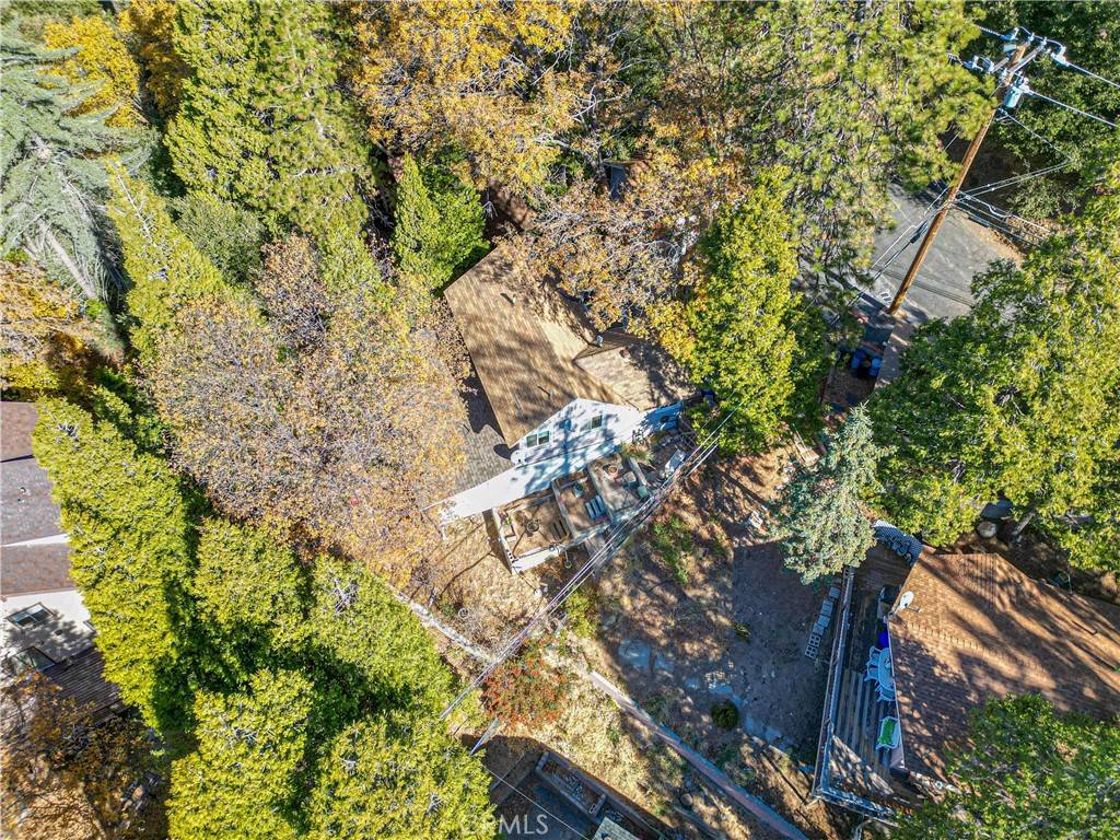 Crestline, CA 92325,24782 Basel DR