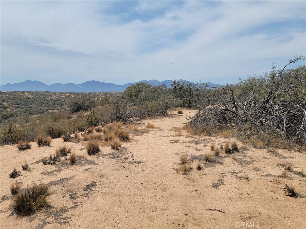 Oak Hills, CA 92344,0 Daisy Road