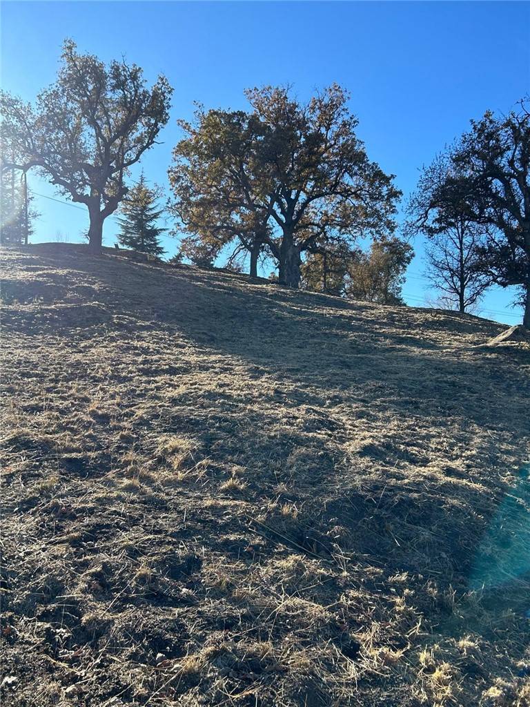 Tehachapi, CA 93561,23840 Dart DR