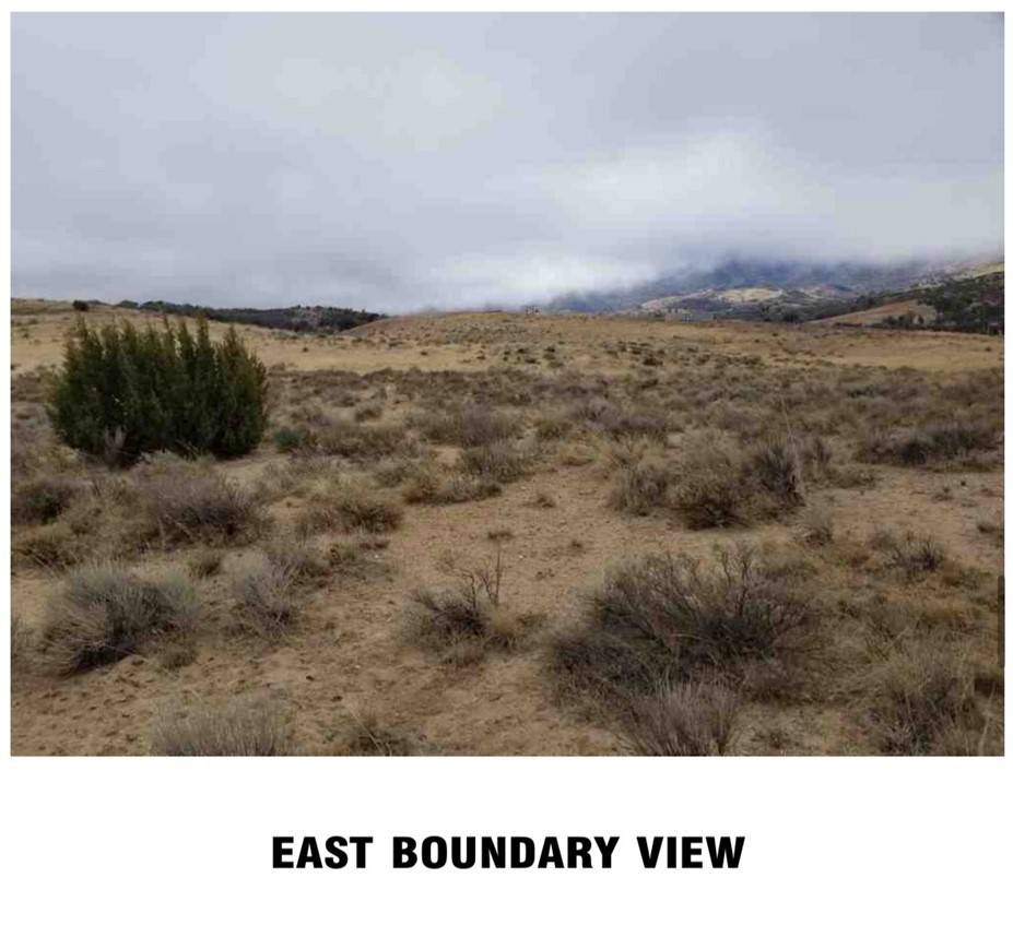 Tehachapi, CA 93561,0 Gay AVE