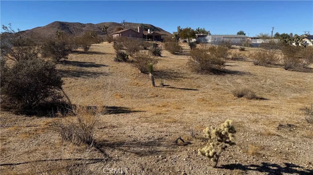Yucca Valley, CA 92284,0 Yucca Mess