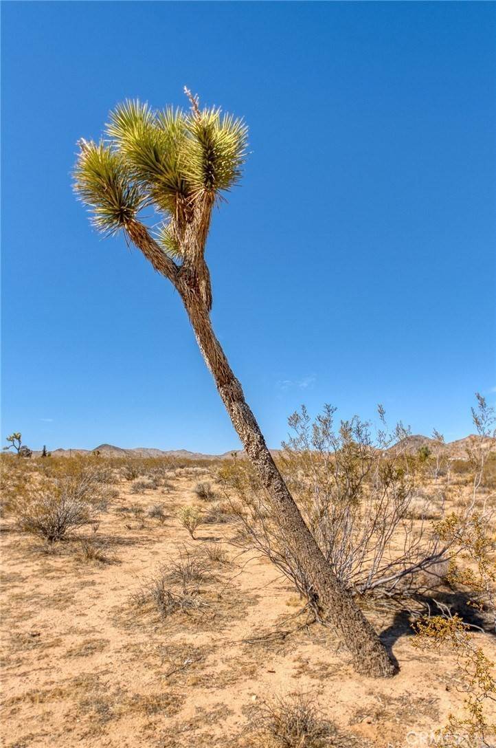 76 Deer TRL Yucca Valley, CA 92284