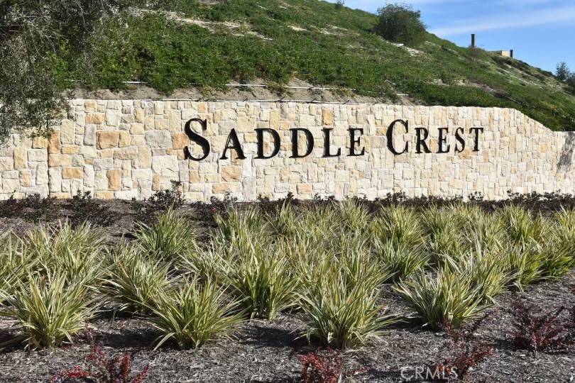 Silverado, CA 92676,28912 Auburn Hills
