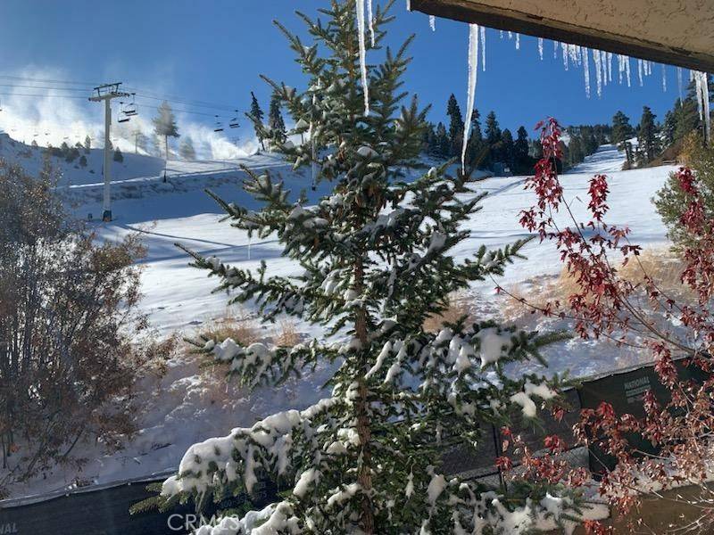 Big Bear Lake, CA 92315,1377 Club View DR #14