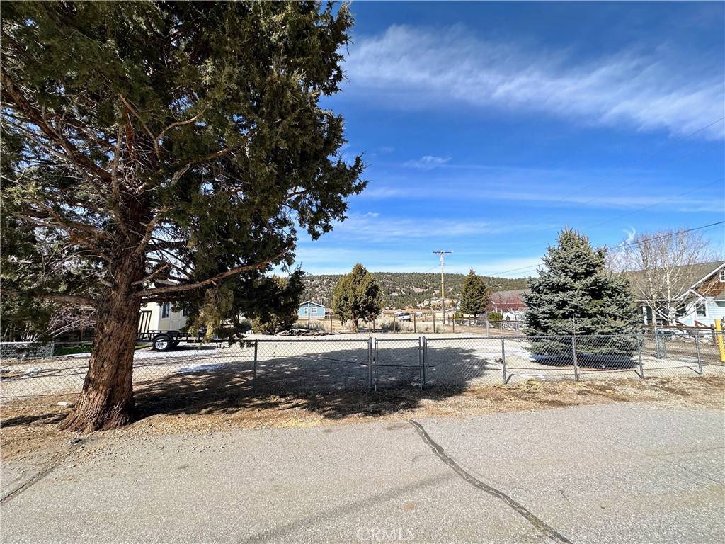 Big Bear City, CA 92314,849 Hemlock LN