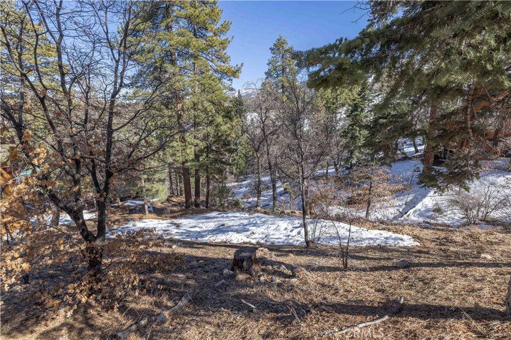 Big Bear Lake, CA 92315,0 Pigeon RD