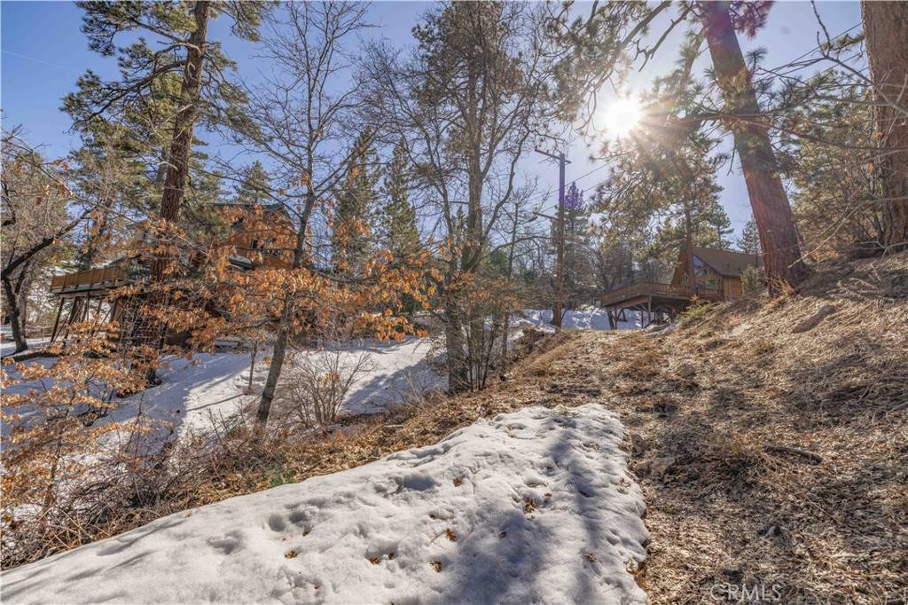 Big Bear Lake, CA 92315,0 Pigeon RD
