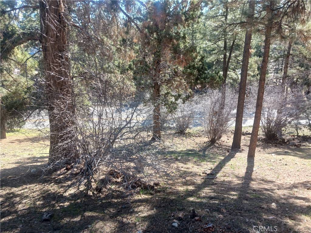 Big Bear City, CA 92314,0 Big Bear Blvd