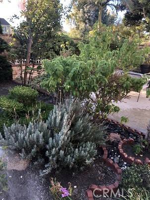 Irvine, CA 92620,8 Lee