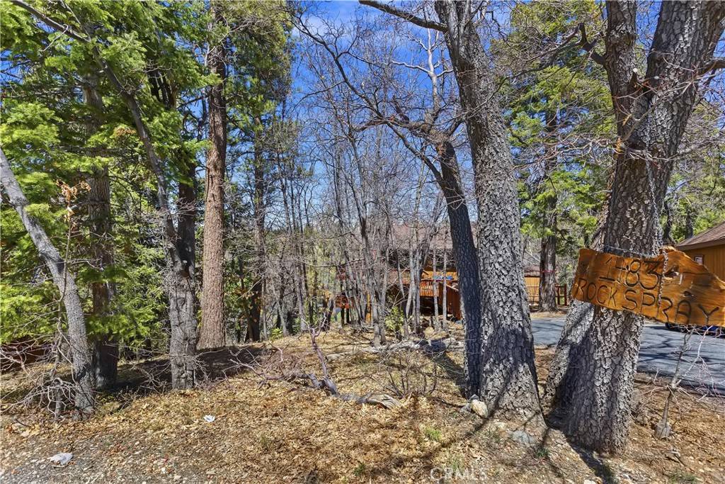 Big Bear Lake, CA 92315,1483 Rockspray DR