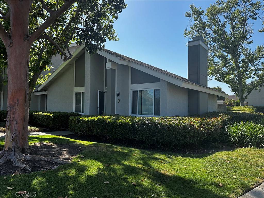 Irvine, CA 92604,1 Sunflower