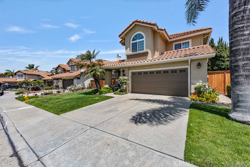 Rancho Santa Margarita, CA 92688,5 Mandevilla
