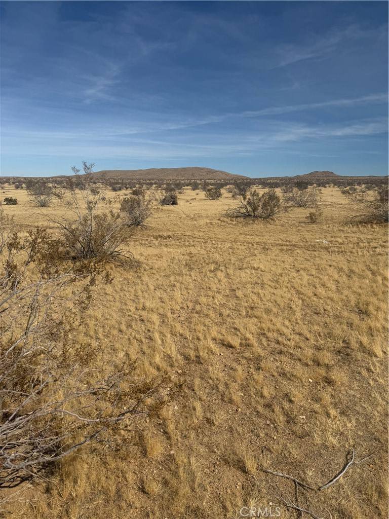 Oro Grande, CA 92368,0 Chambray Street