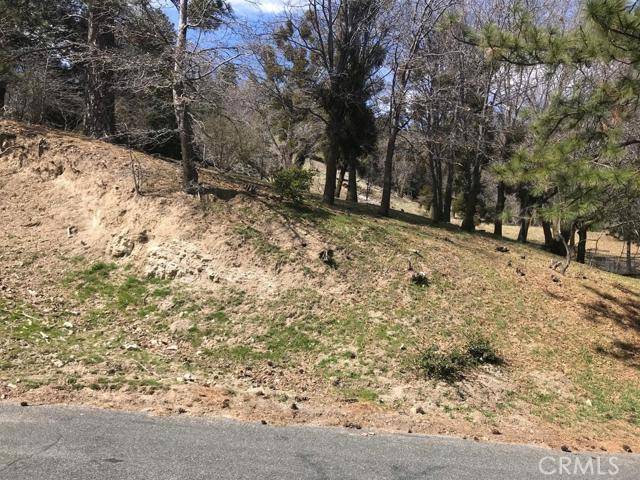 Crestline, CA 92325,0 BRIARWOOD