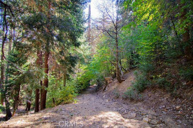 Lake Arrowhead, CA 92352,570 Dover CT