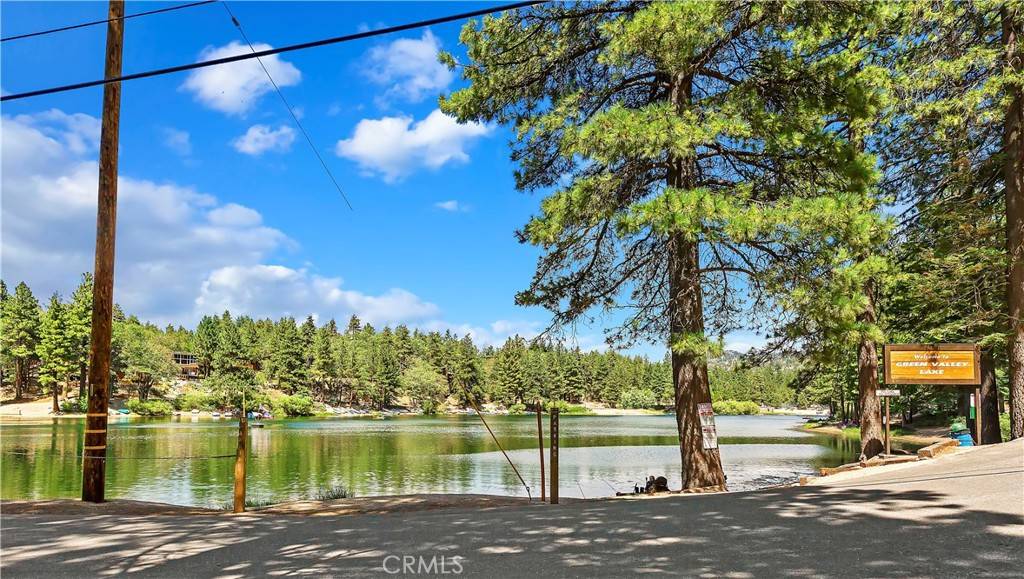 Green Valley Lake, CA 92341,33017 Spruce DR