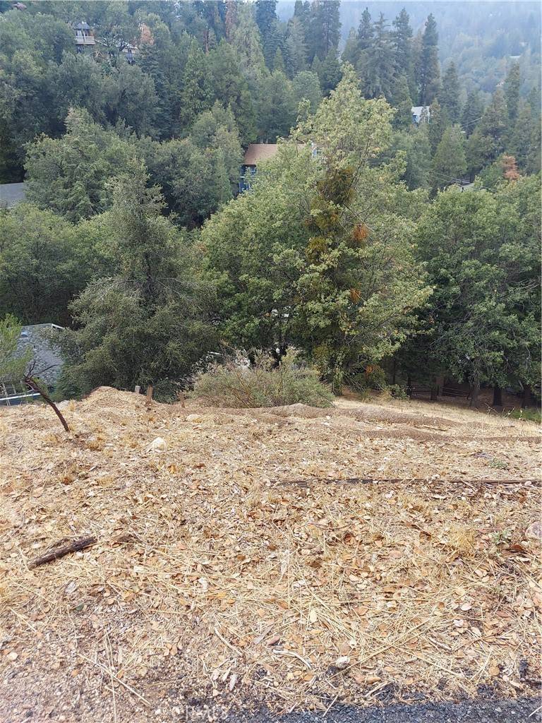 Crestline, CA 92325,0 Arbula DR