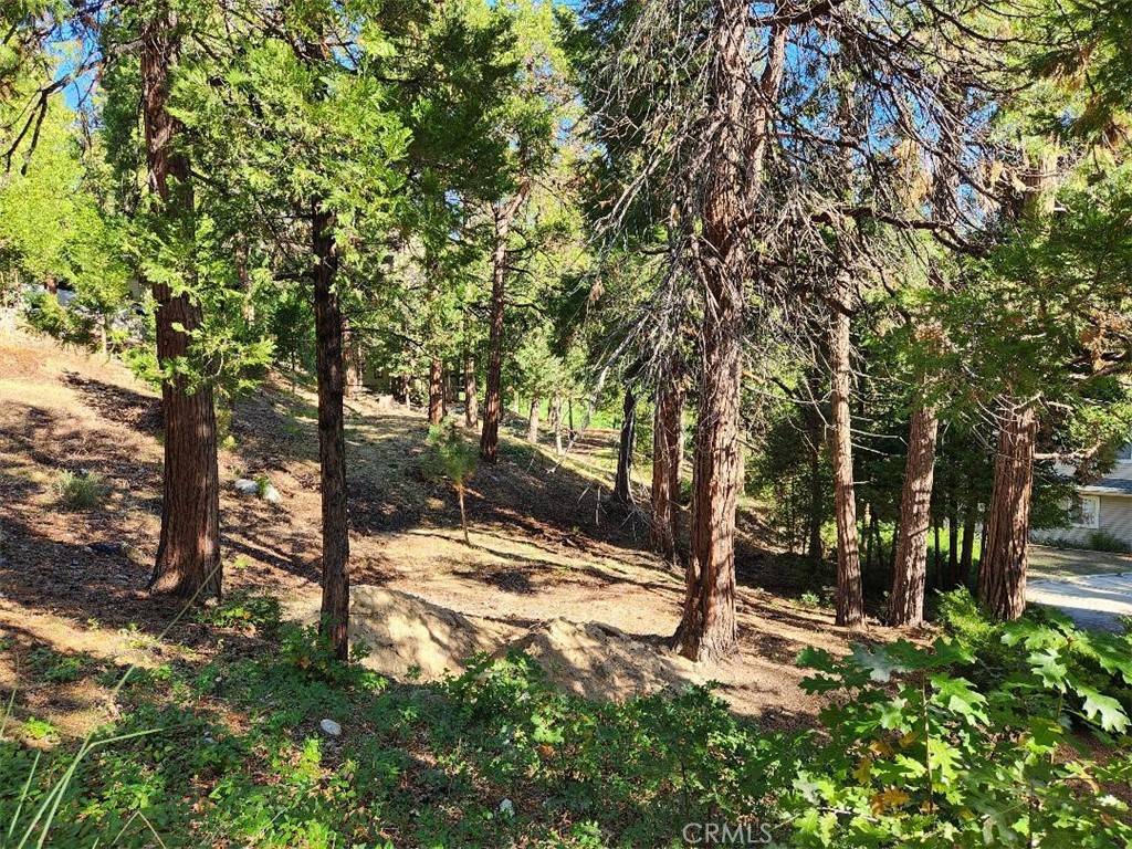 Lake Arrowhead, CA 92352,0 N Fairway DR