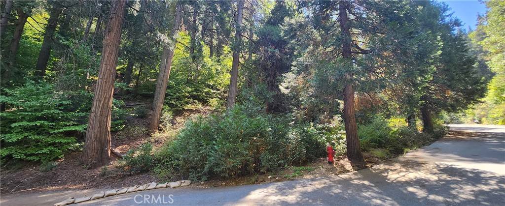 Lake Arrowhead, CA 92385,0 Maple RD