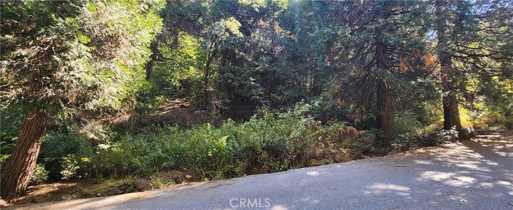 Lake Arrowhead, CA 92385,0 Maple RD