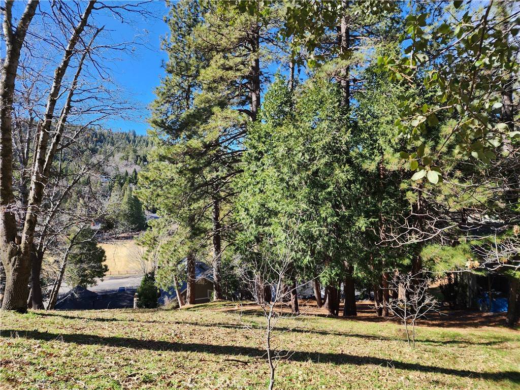 Crestline, CA 92325,0 San Moritz DR