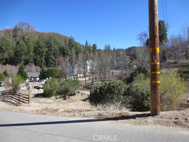 Cedar Glen, CA 92321,29621 Pineridge DR