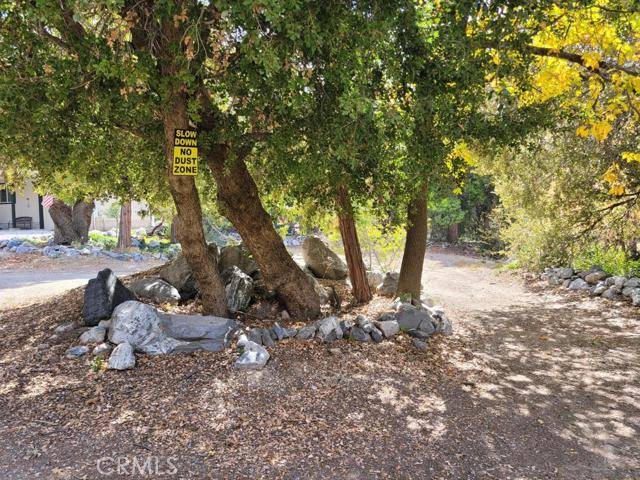 Forest Falls, CA 92339,0 Island DR