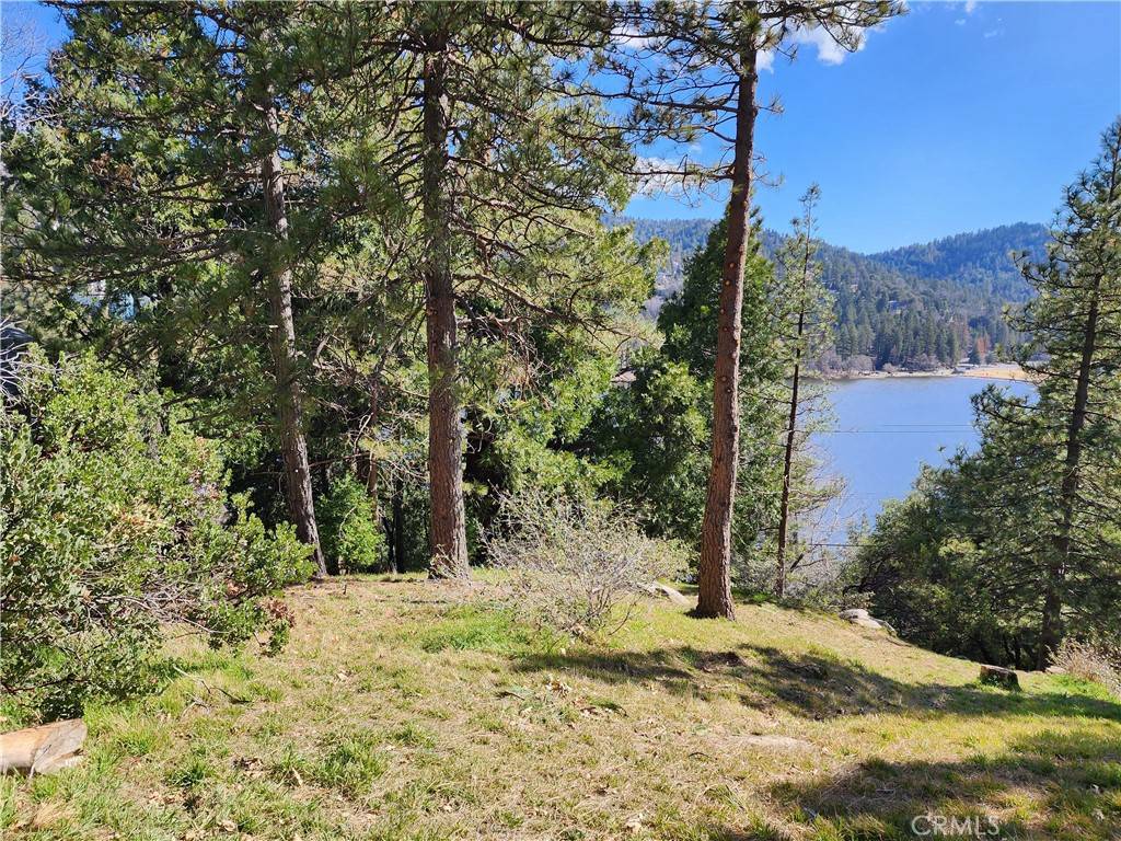 Crestline, CA 92325,405 Wylerhorn DR