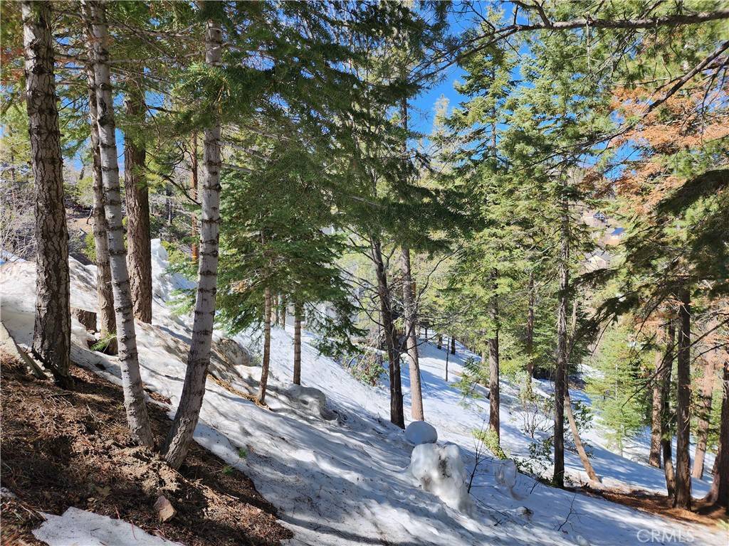 Lake Arrowhead, CA 92352,0 Placer LN