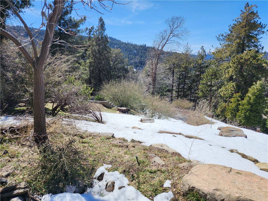 Crestline, CA 92325,839 Arbula DR