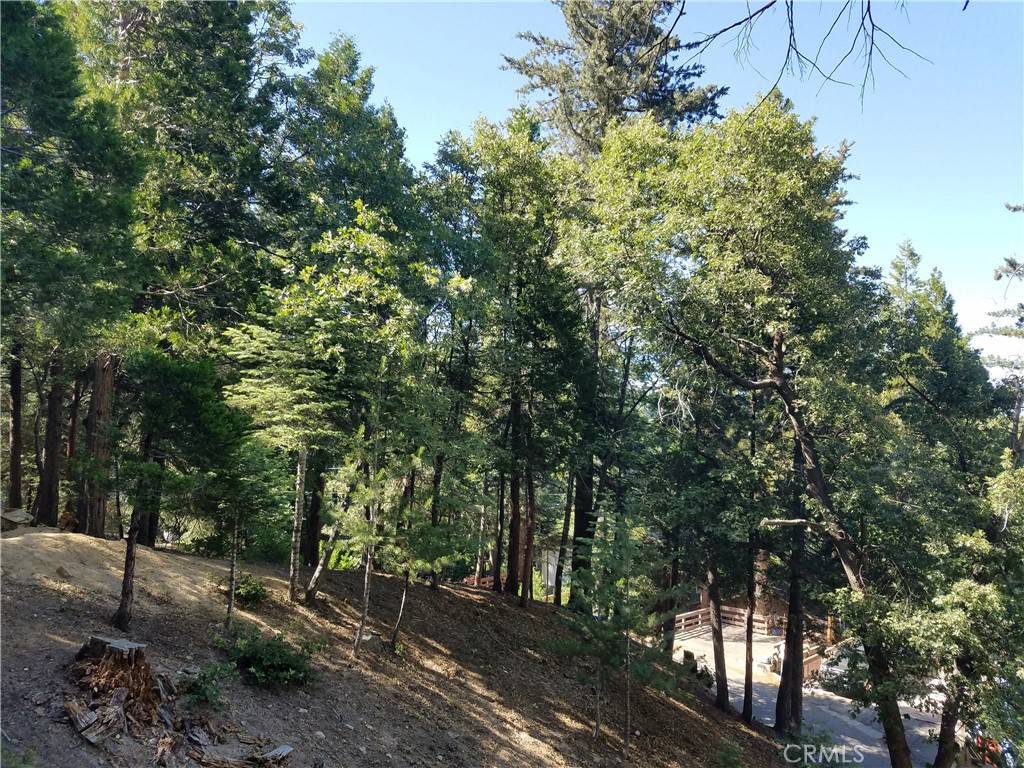 Twin Peaks, CA 92391,0 Boulder LN