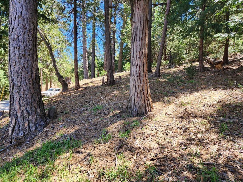 Crestline, CA 92325,0 Altdorf DR