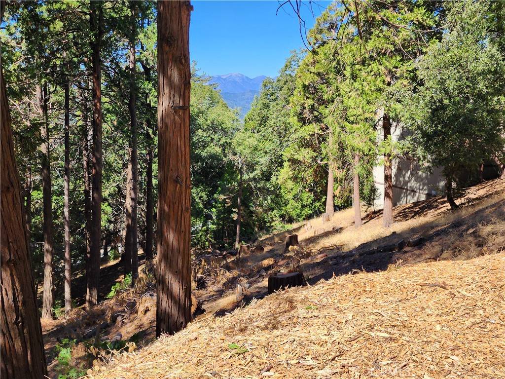 Twin Peaks, CA 92391,0 North RD