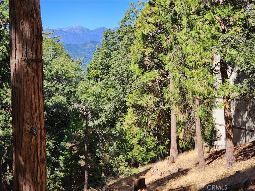 0 North RD Twin Peaks, CA 92391