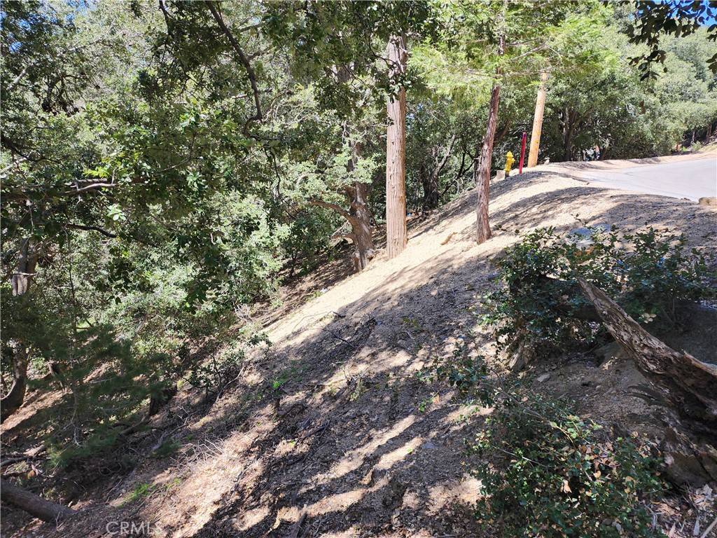 Crestline, CA 92325,0 Valle DR