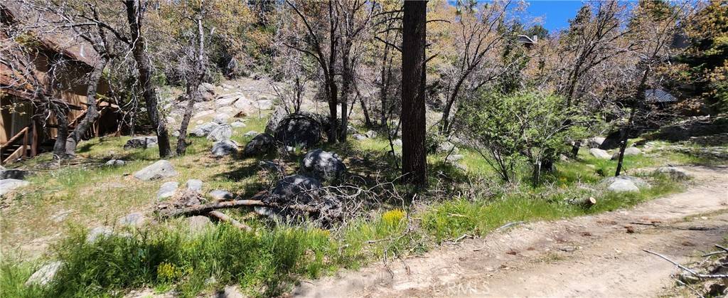 Arrowbear, CA 92382,0 Deer LN