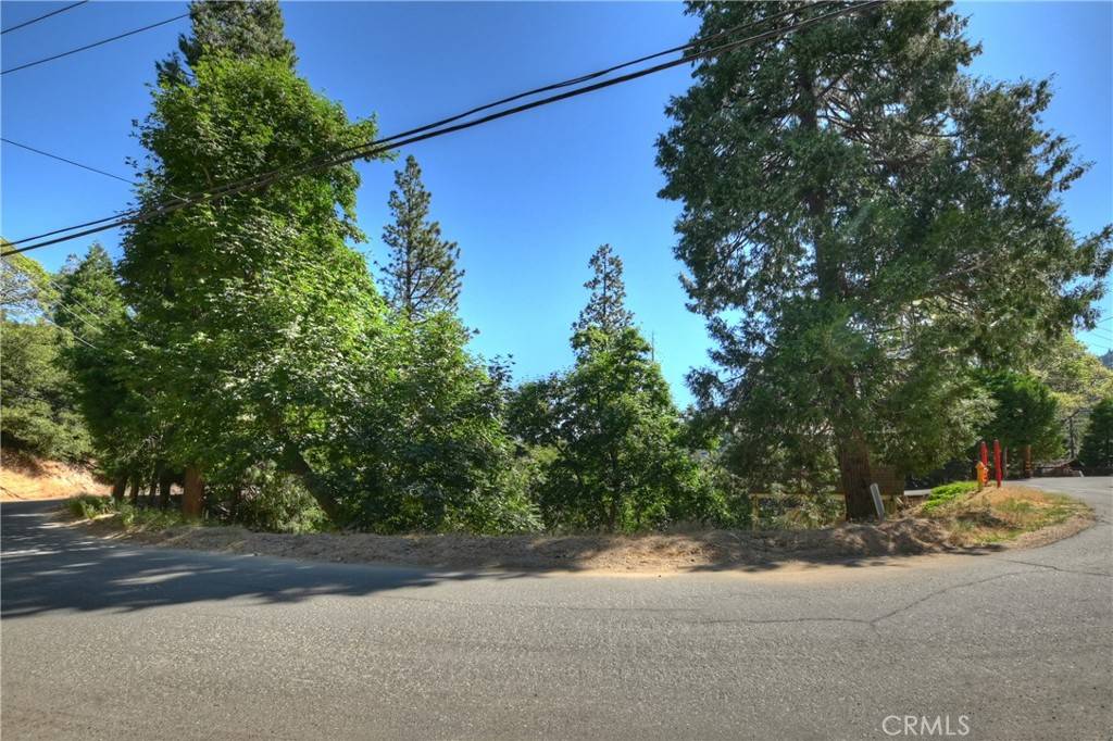 Crestline, CA 92325,0 Nesthorn DR