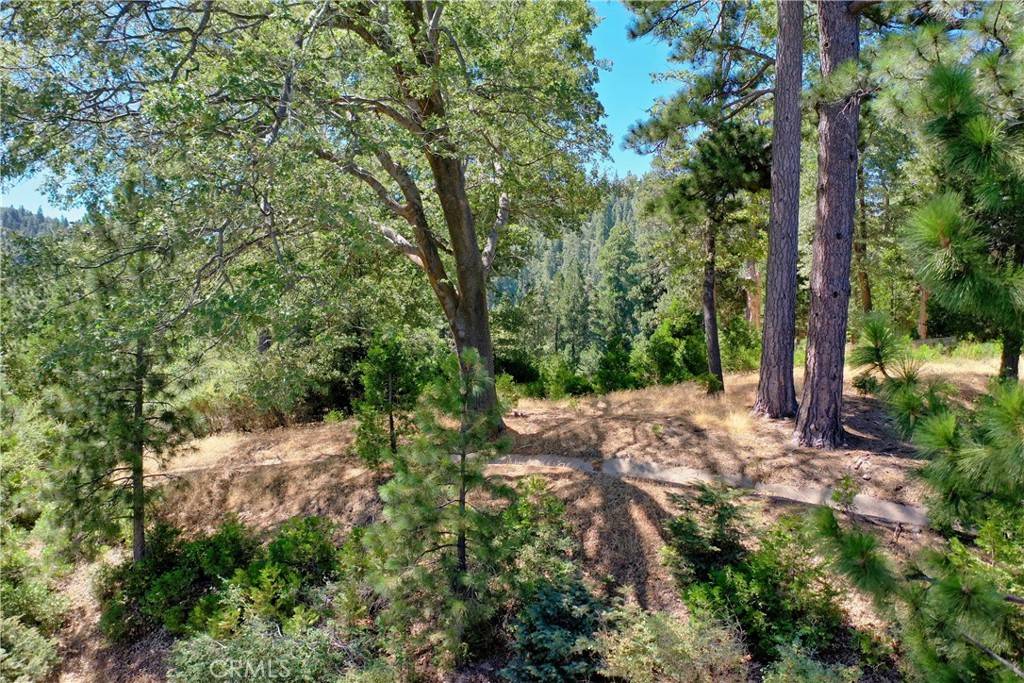 Lake Arrowhead, CA 92352,29230 Pigeon Hawk LN