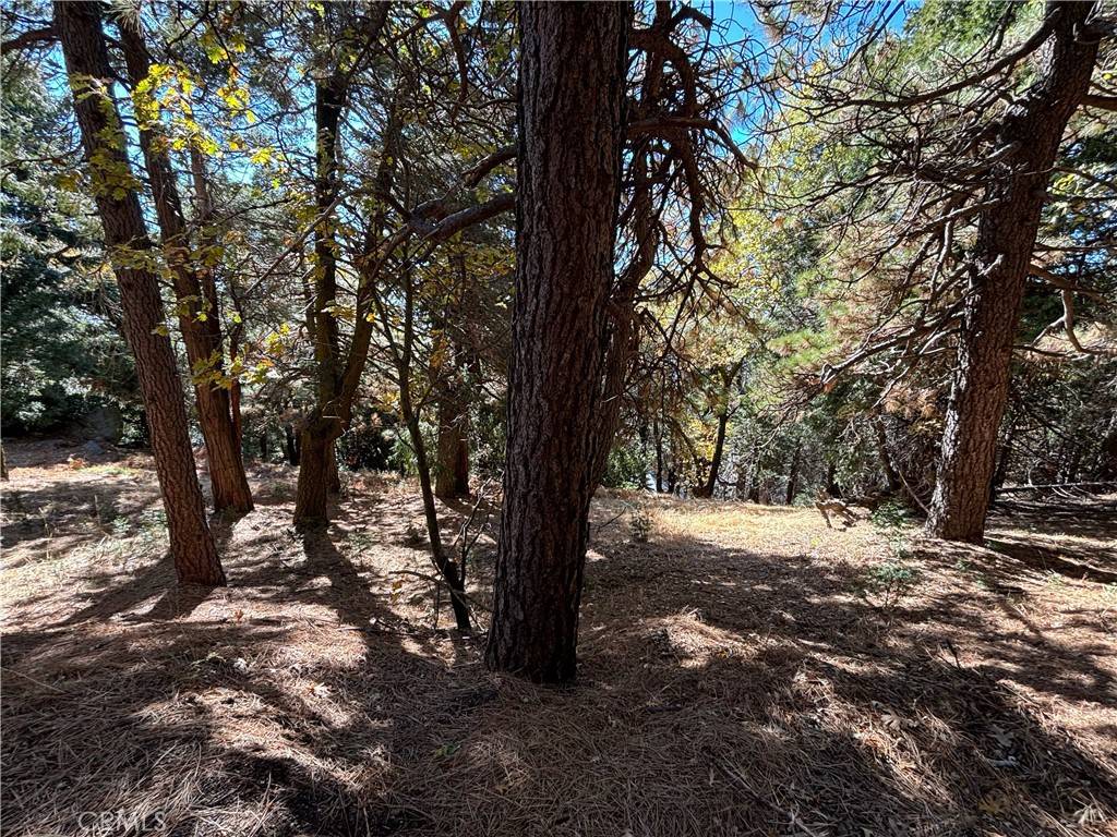 Cedarpines Park, CA 92322,0 Peak Circle